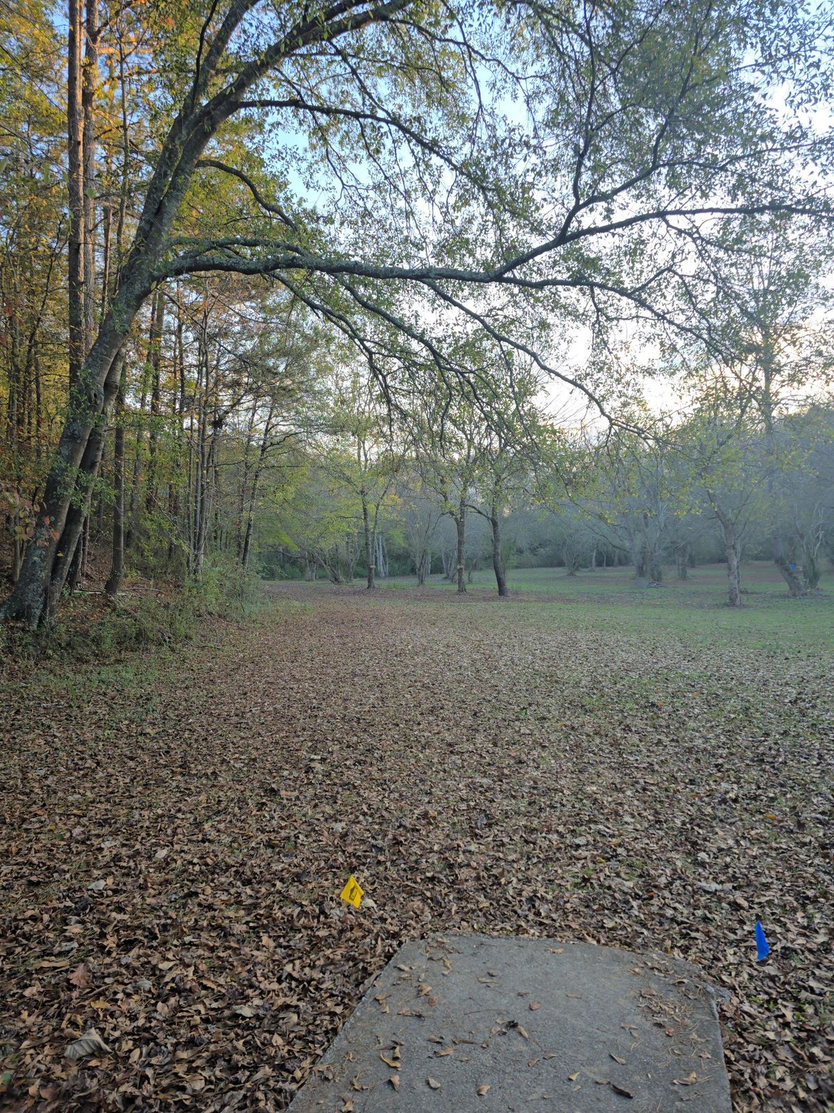 Hole 12 teepad