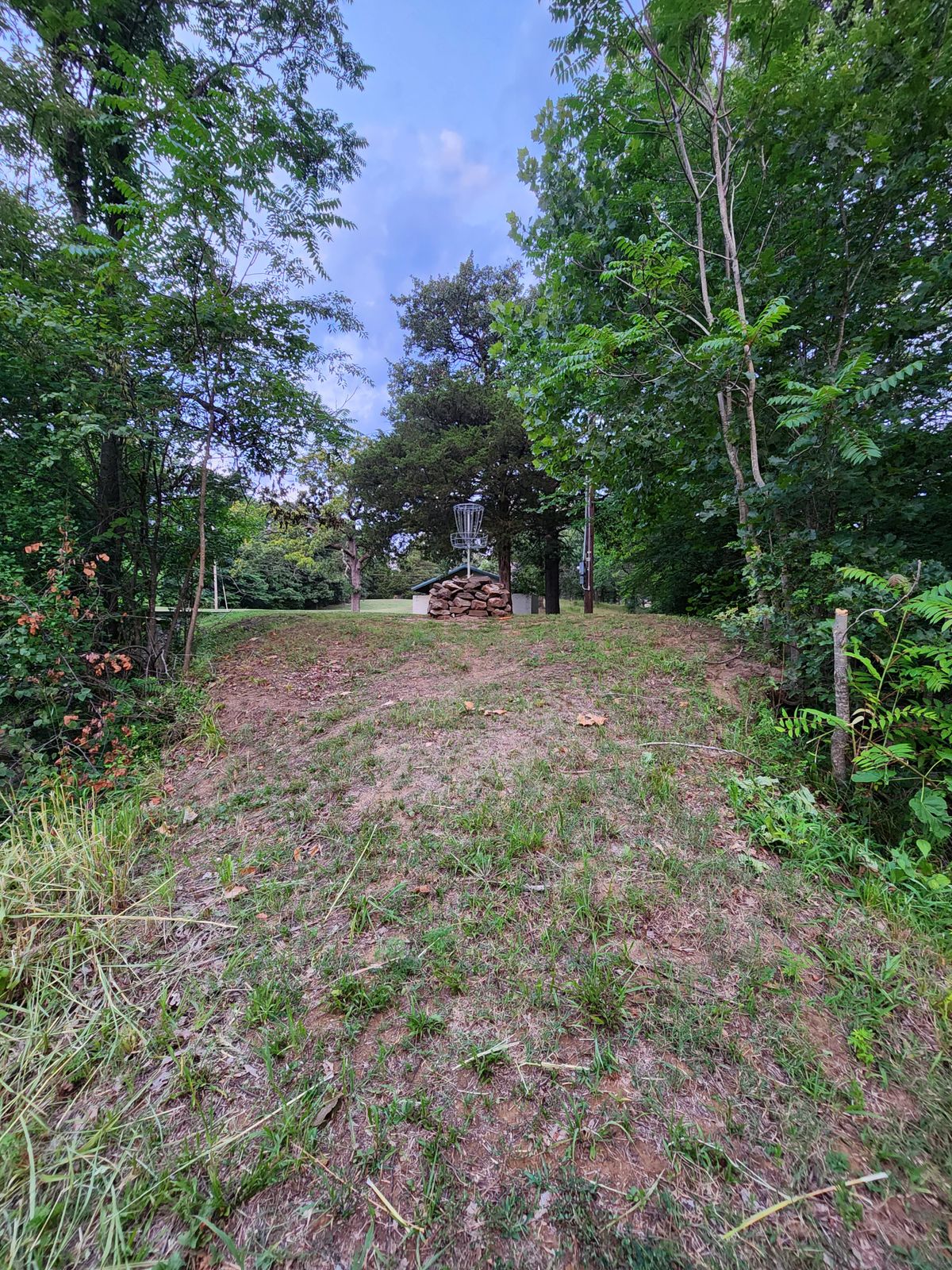 Hole 4, elevated basket