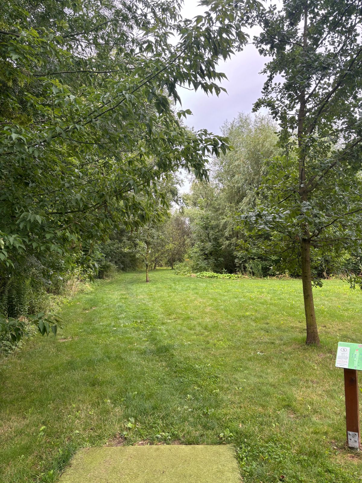 Hole 5