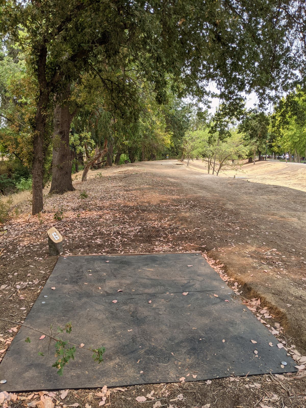 Tee #6 (big tree on right before basket is mando left)