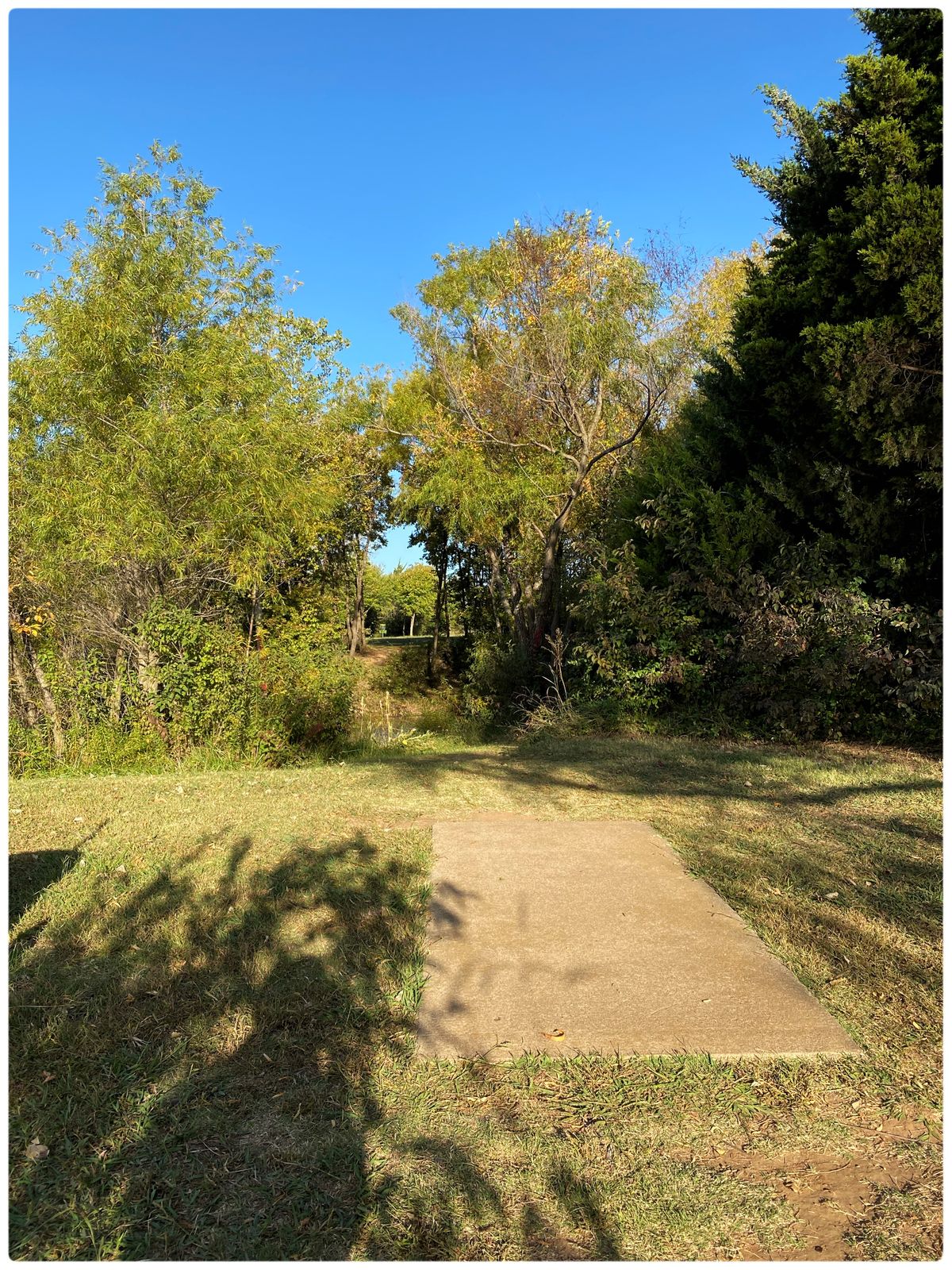 #11 main Tee- throwing west