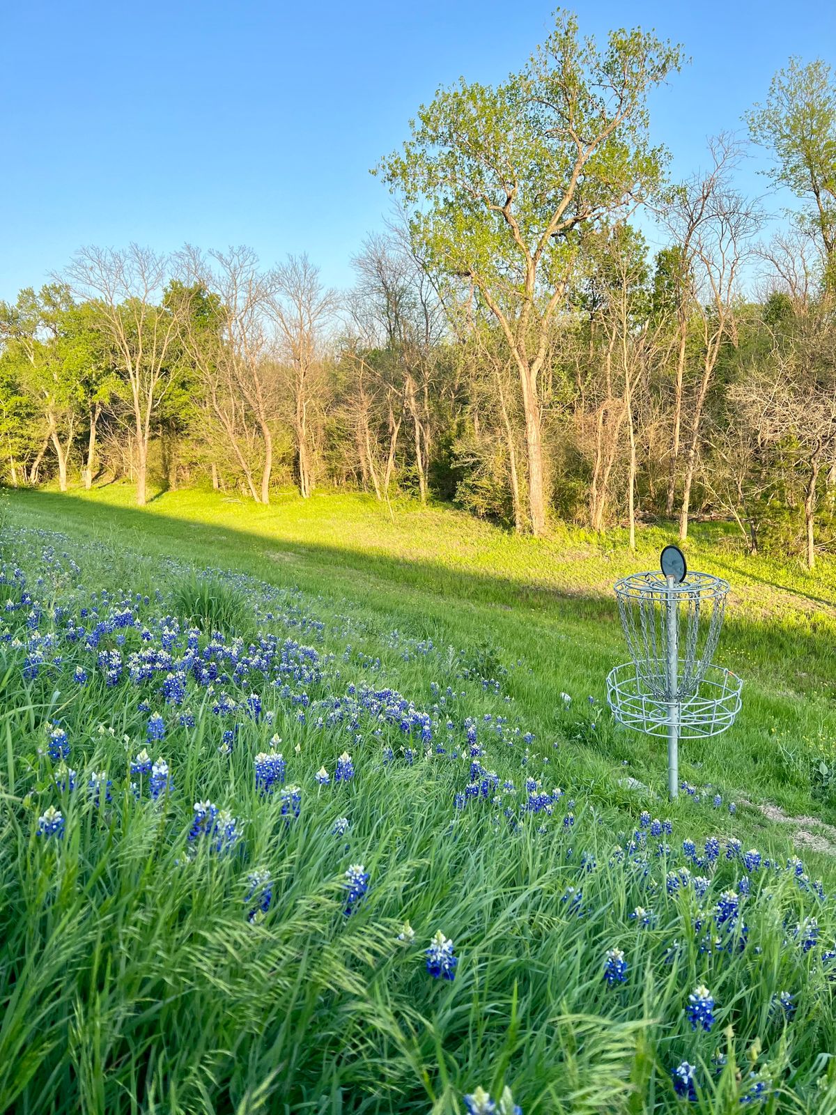 Easy to lose a disc in tall grass