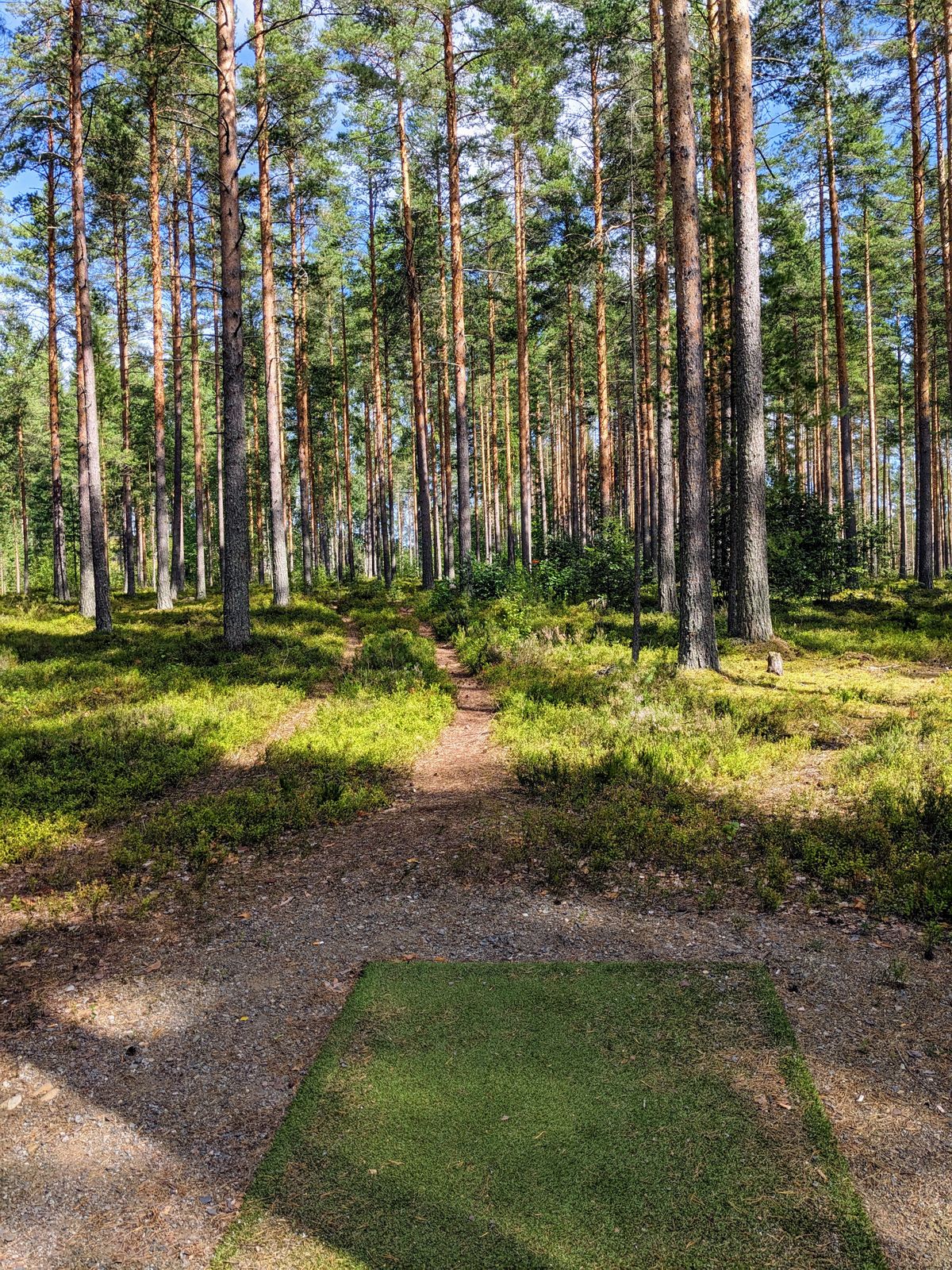 4. väylä