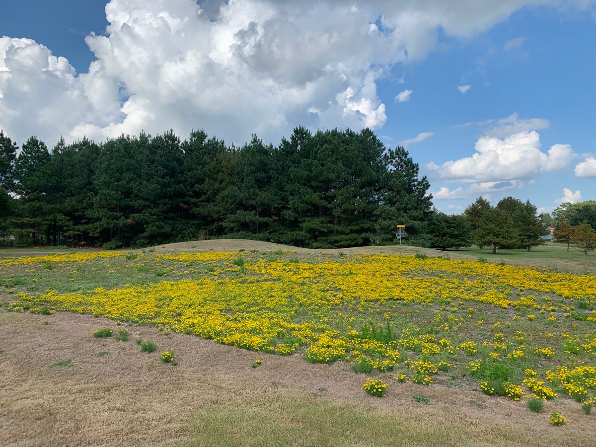 Hole 4 green.