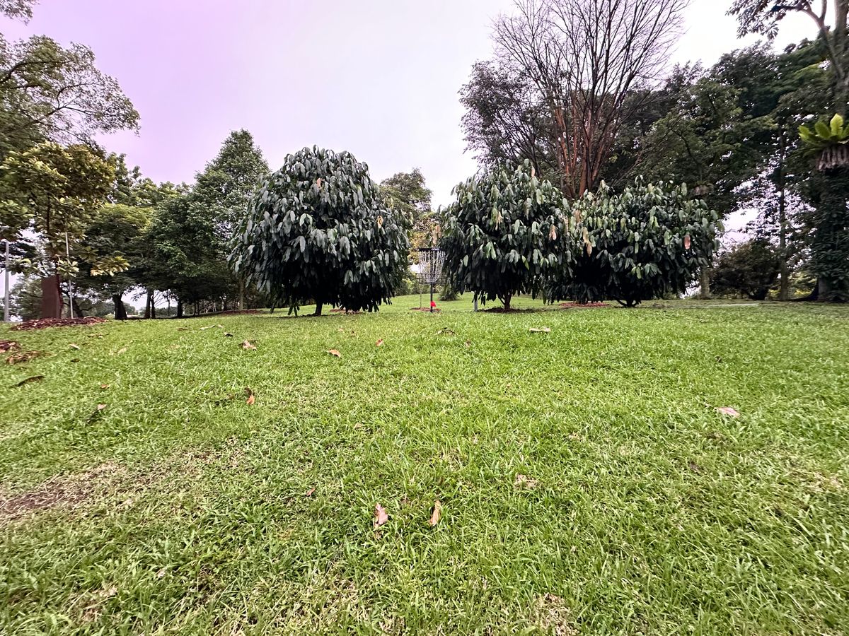 Hole 14 Basket