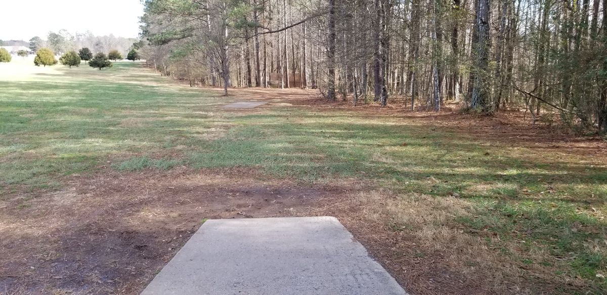 Hole 8 Tee Pads
