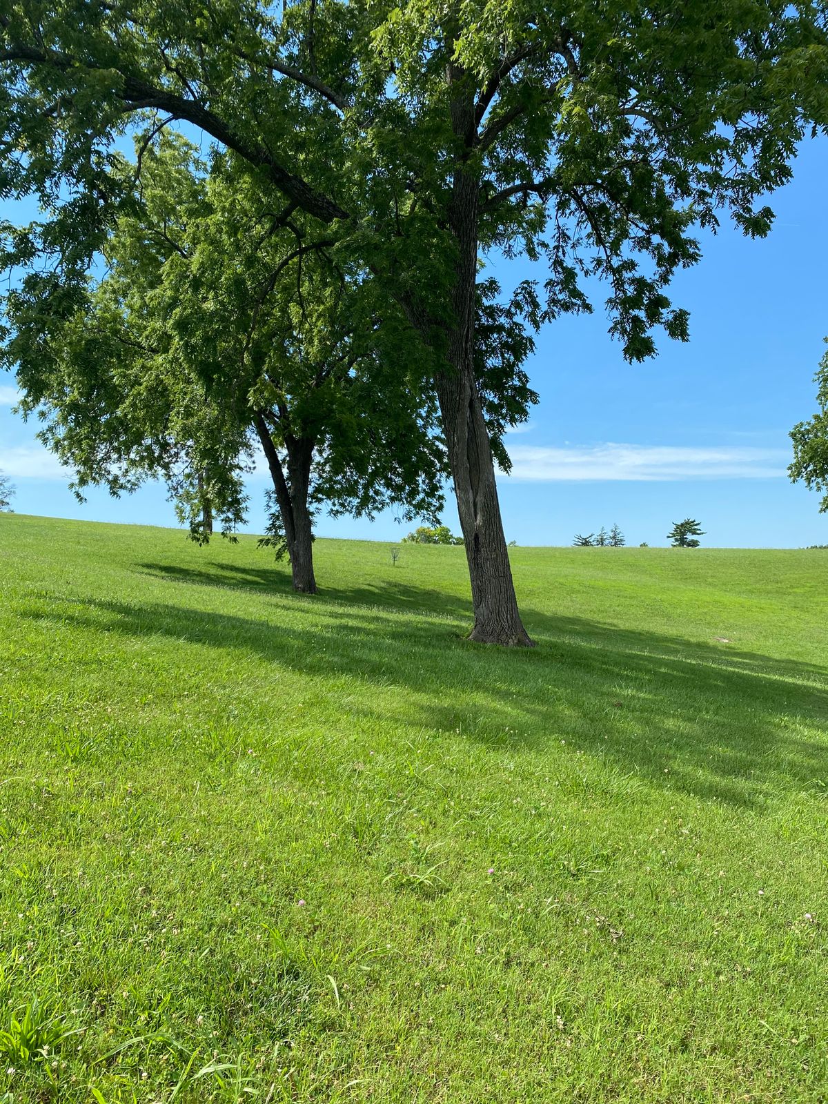 Hole 2 Mid-Fairway
