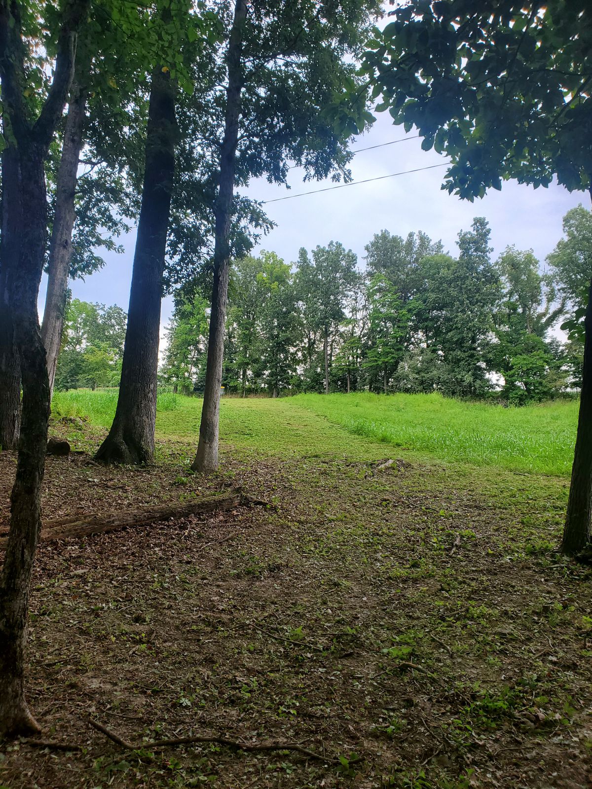 Looking from the orange pin at the gold pin hole 12
