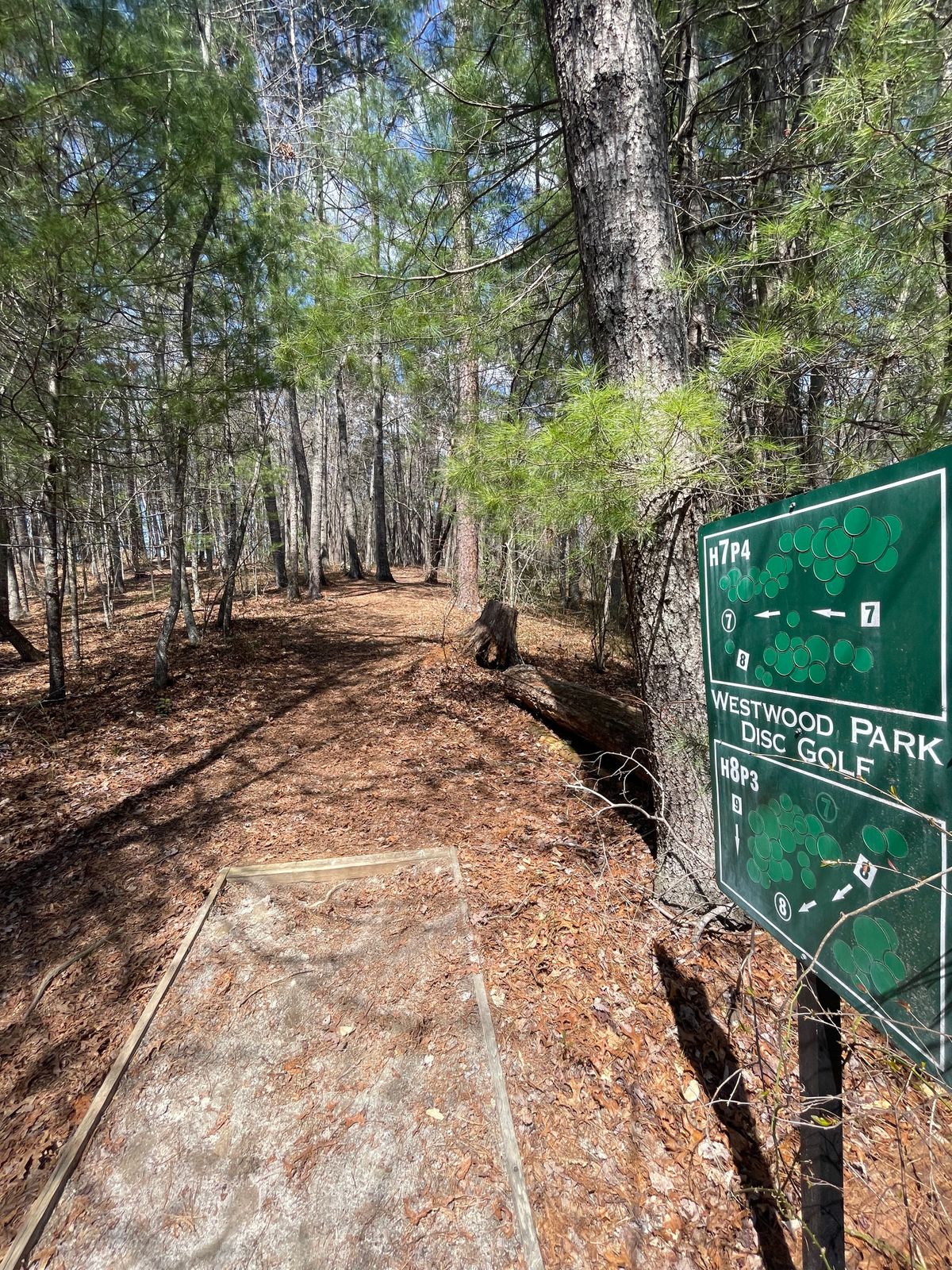 Hole 7 tee pad. Basket is up the hill to the left a little