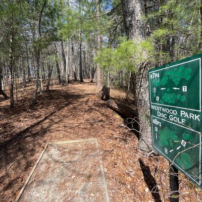 Hole 7 tee pad. Basket is up the hill to the left a little