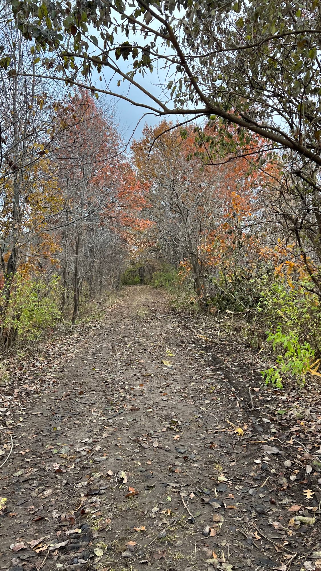 Long walk but a pretty one!