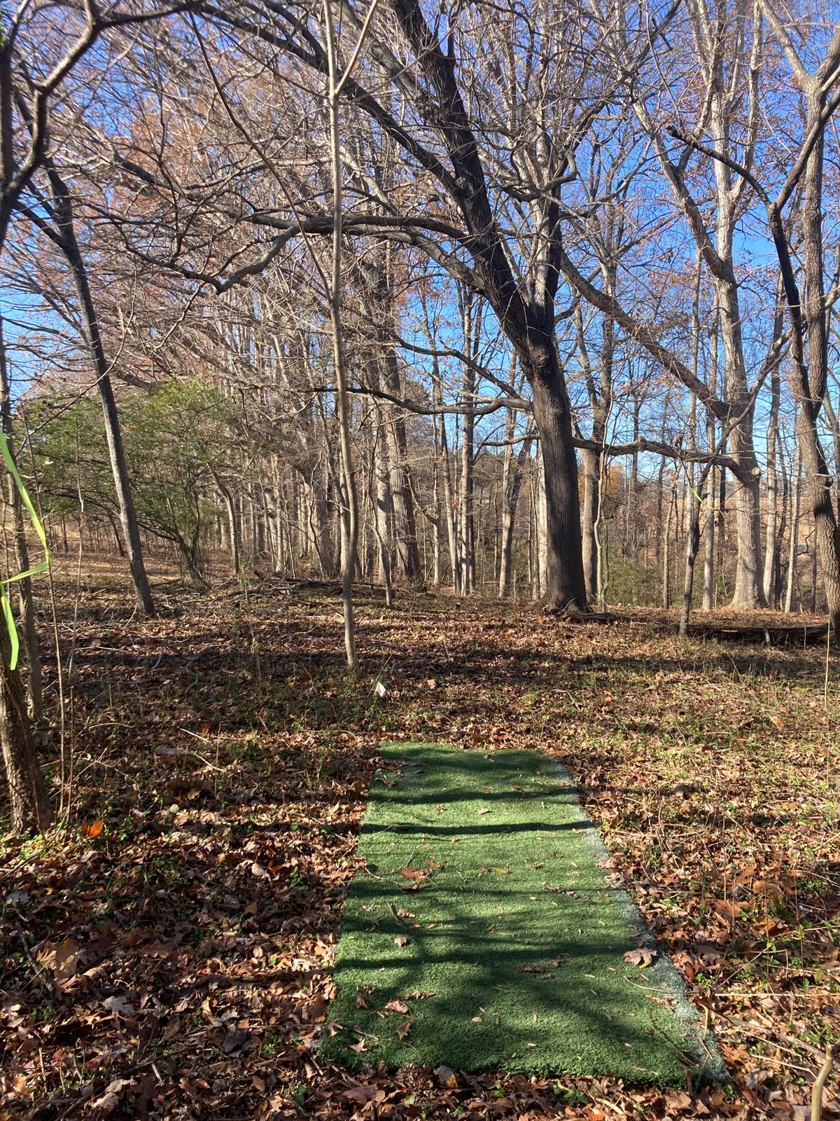 Hole 3 Teepad