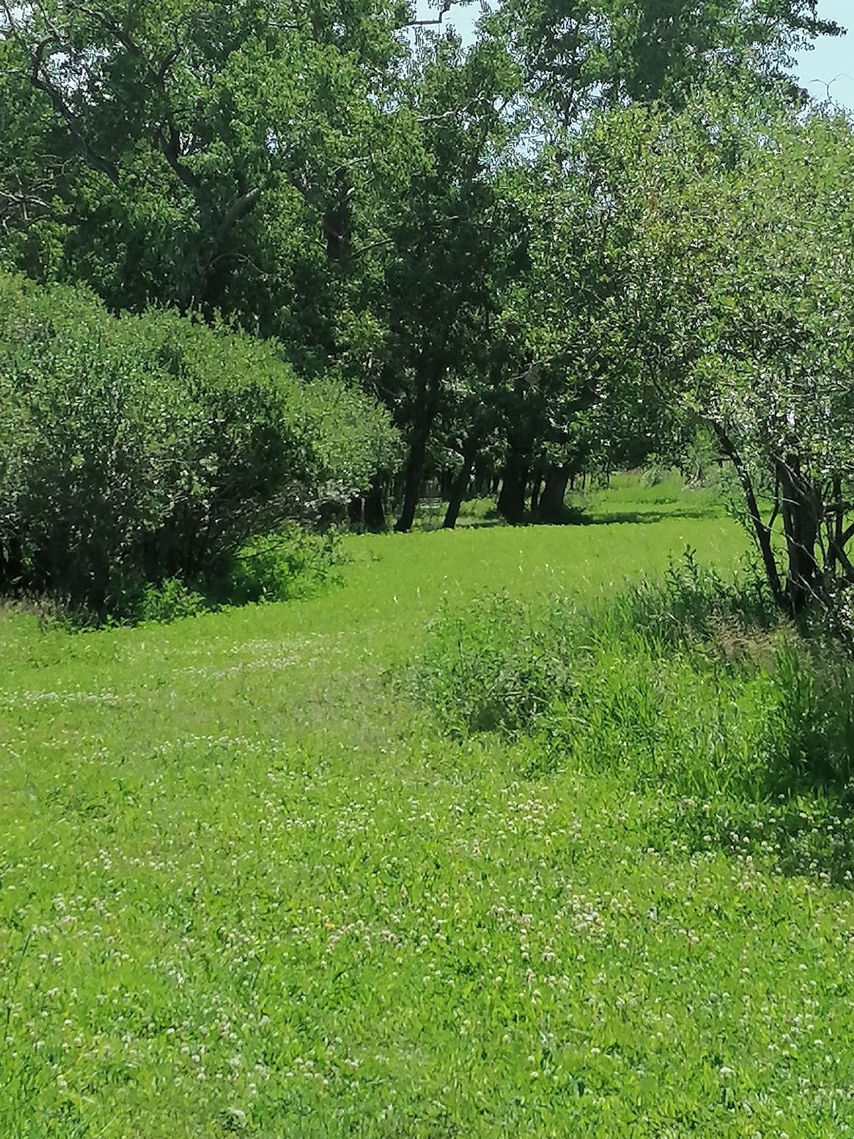 #16 beautiful fairway & green
