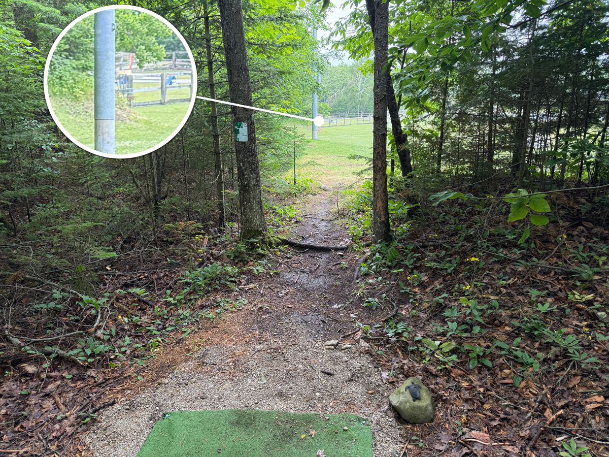 Hole 7 - fun, short, straightforward tee shot