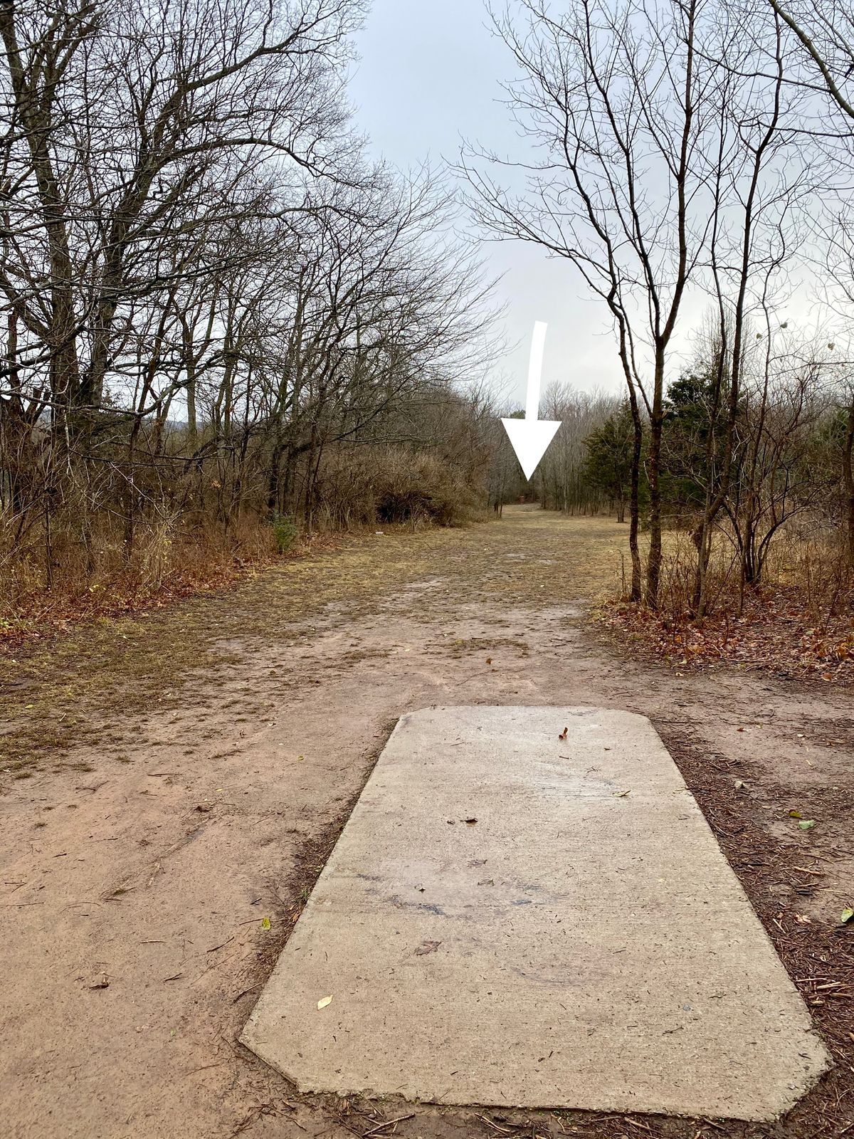 Hole 4 white tee