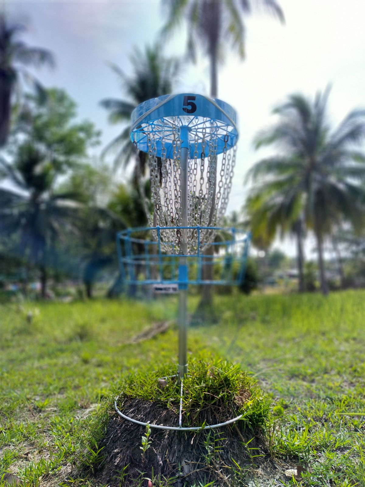 Slightly elevated basket
