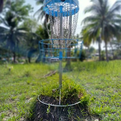 Slightly elevated basket
