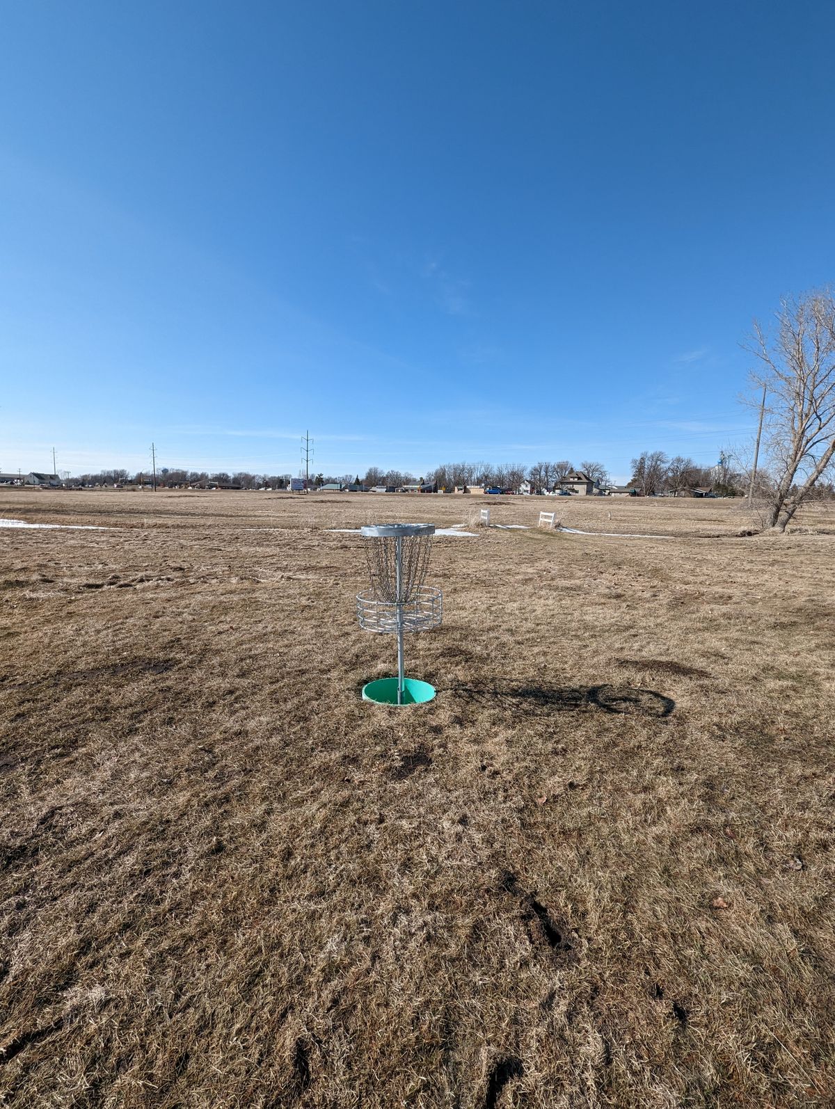 Hole 6 Basket