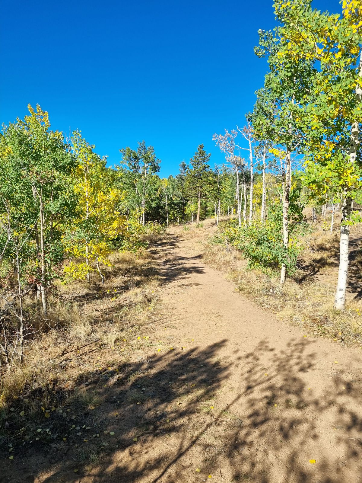 Hole 5 from the tee.