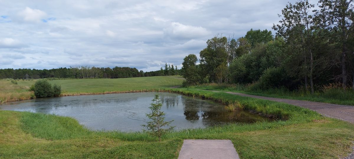Great potential Disc Golf course needs tee signs and arrows pointing to next basket.