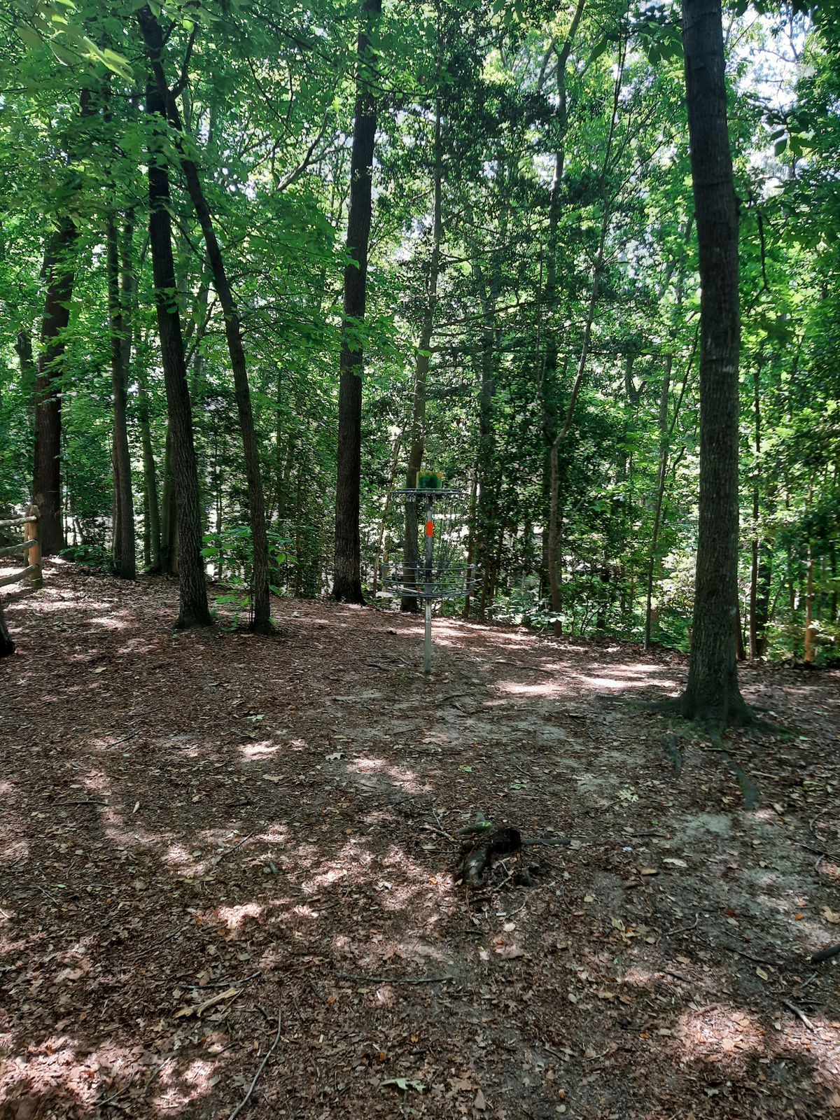 Hole 14 Basket