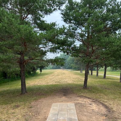 New tee pad for hole 1 Blues.