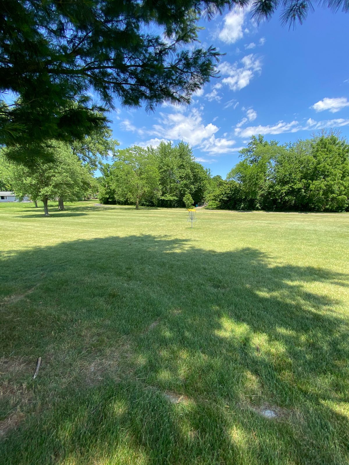Hole 5 Green