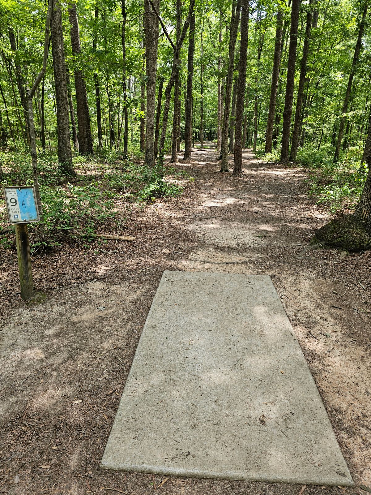 Hole 9