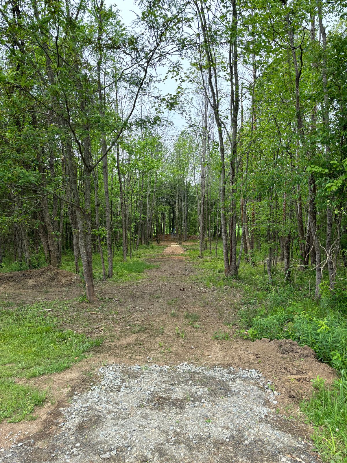 Hole 5