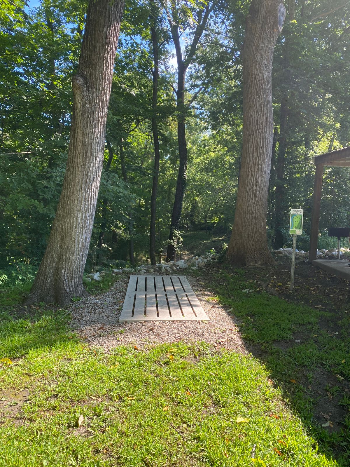 Hole 7 tee pad