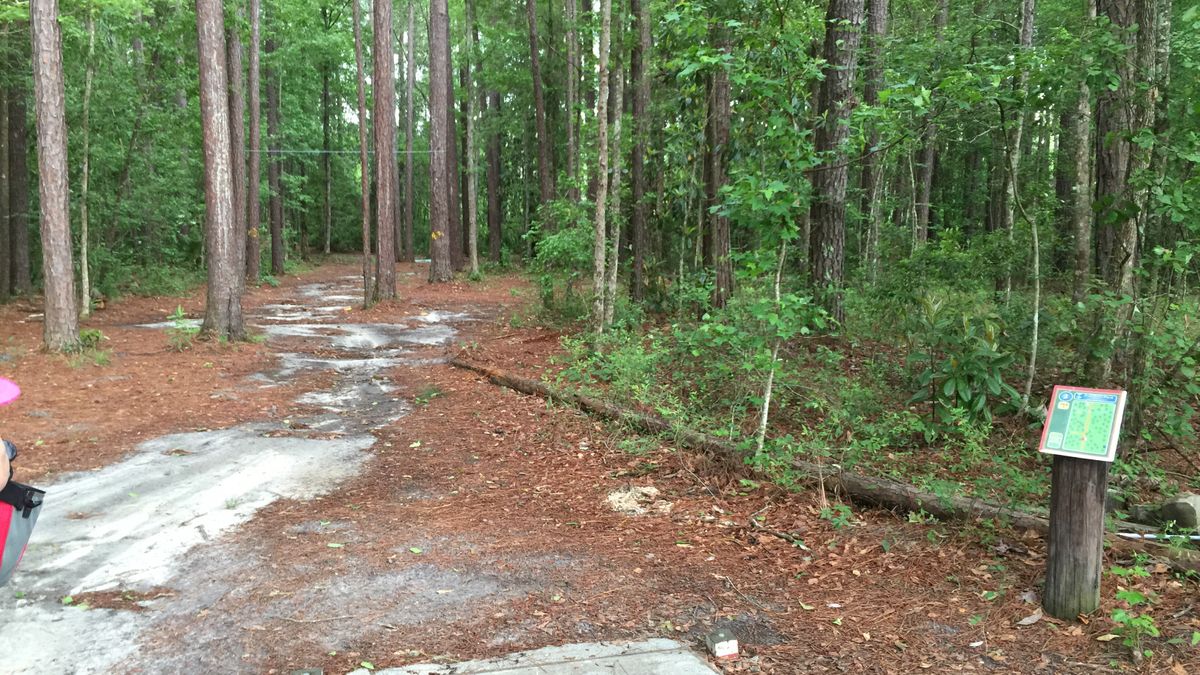 Hole 3