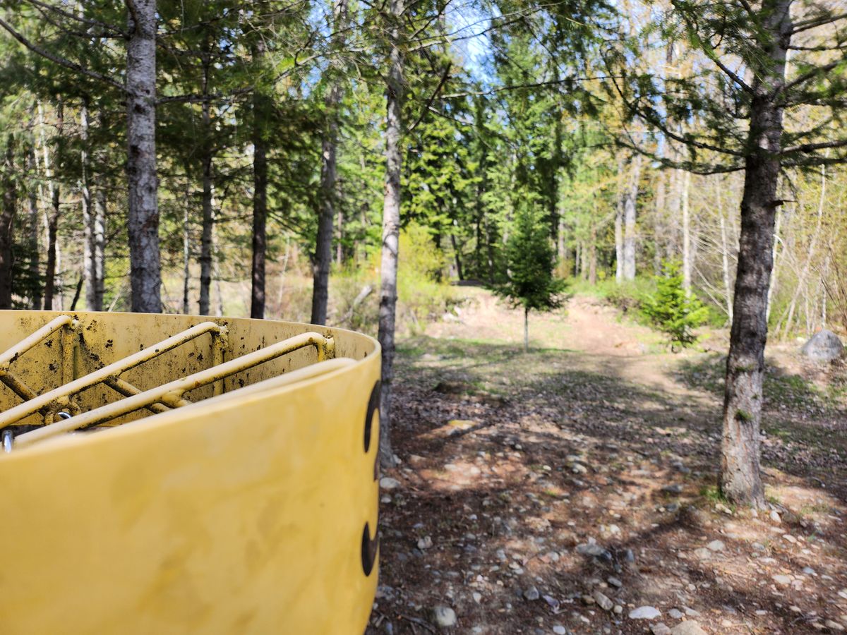Hole 3 from pin to pad