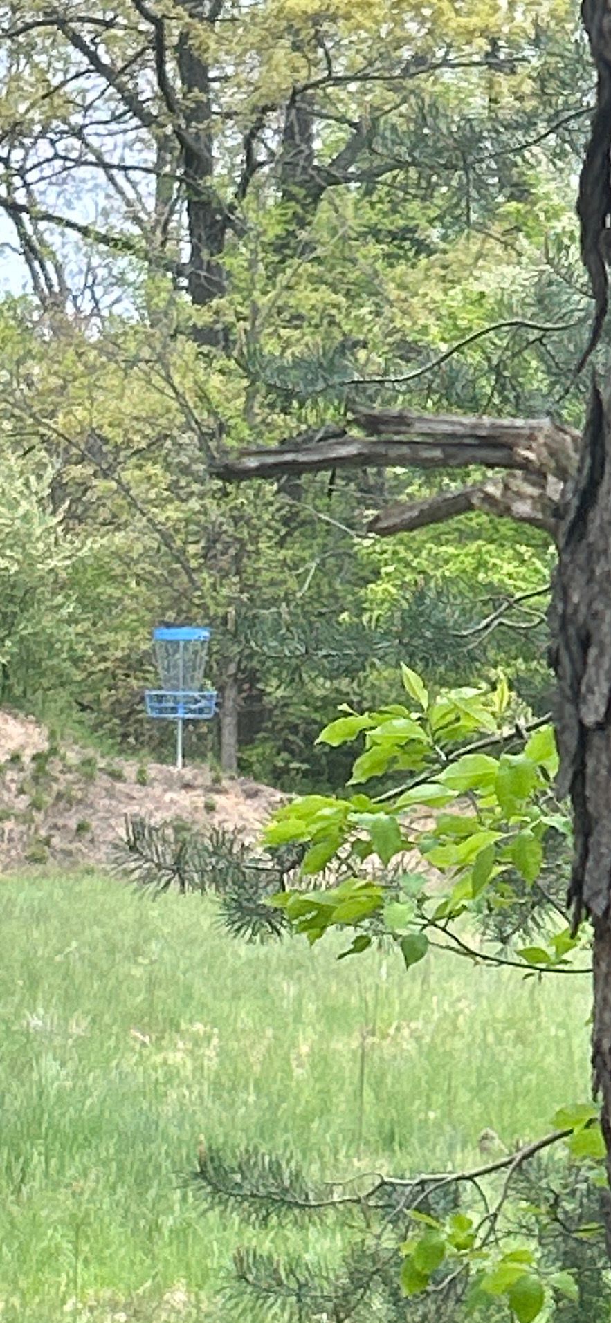Hole #4 approach