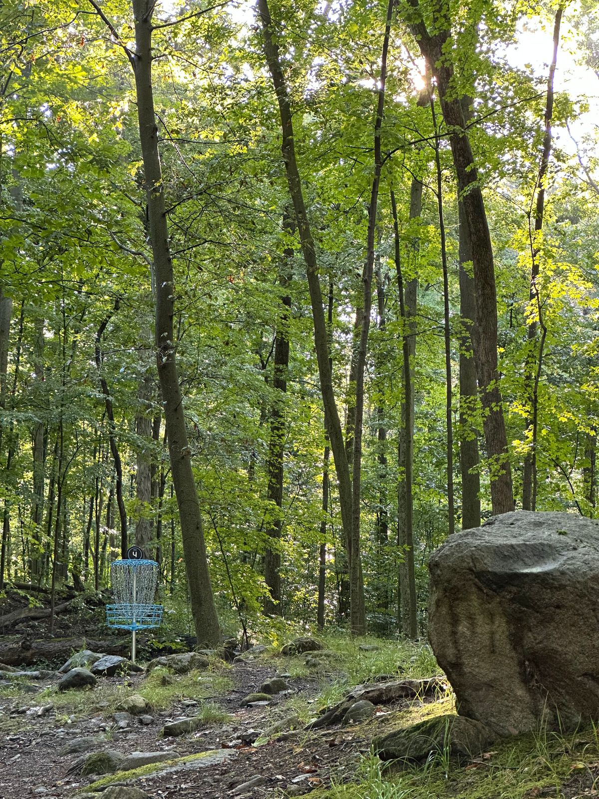 Hole #4 approach