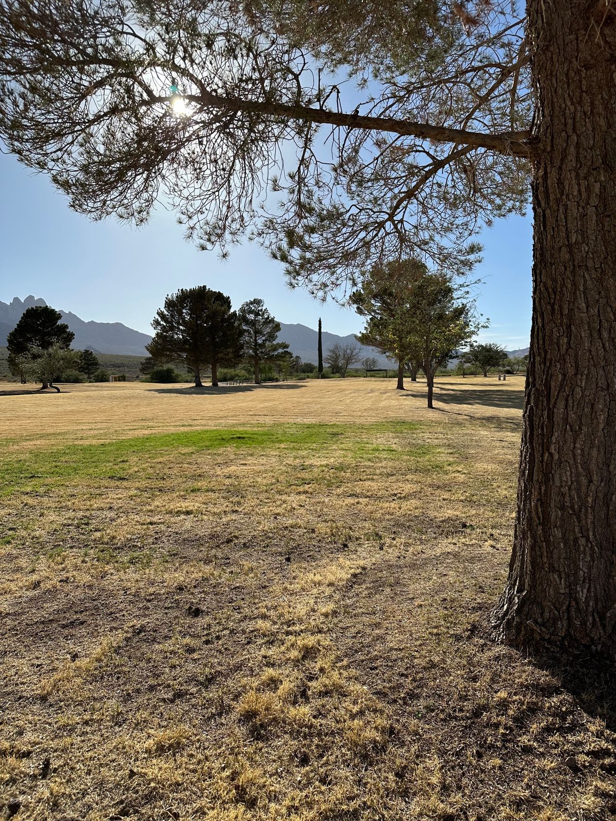 13 (no signage for tee. Used UDisc to identify tee box)