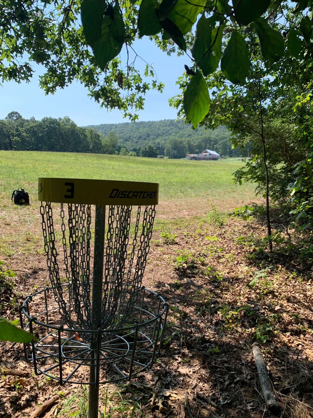 Hole 3’s hidden basket.