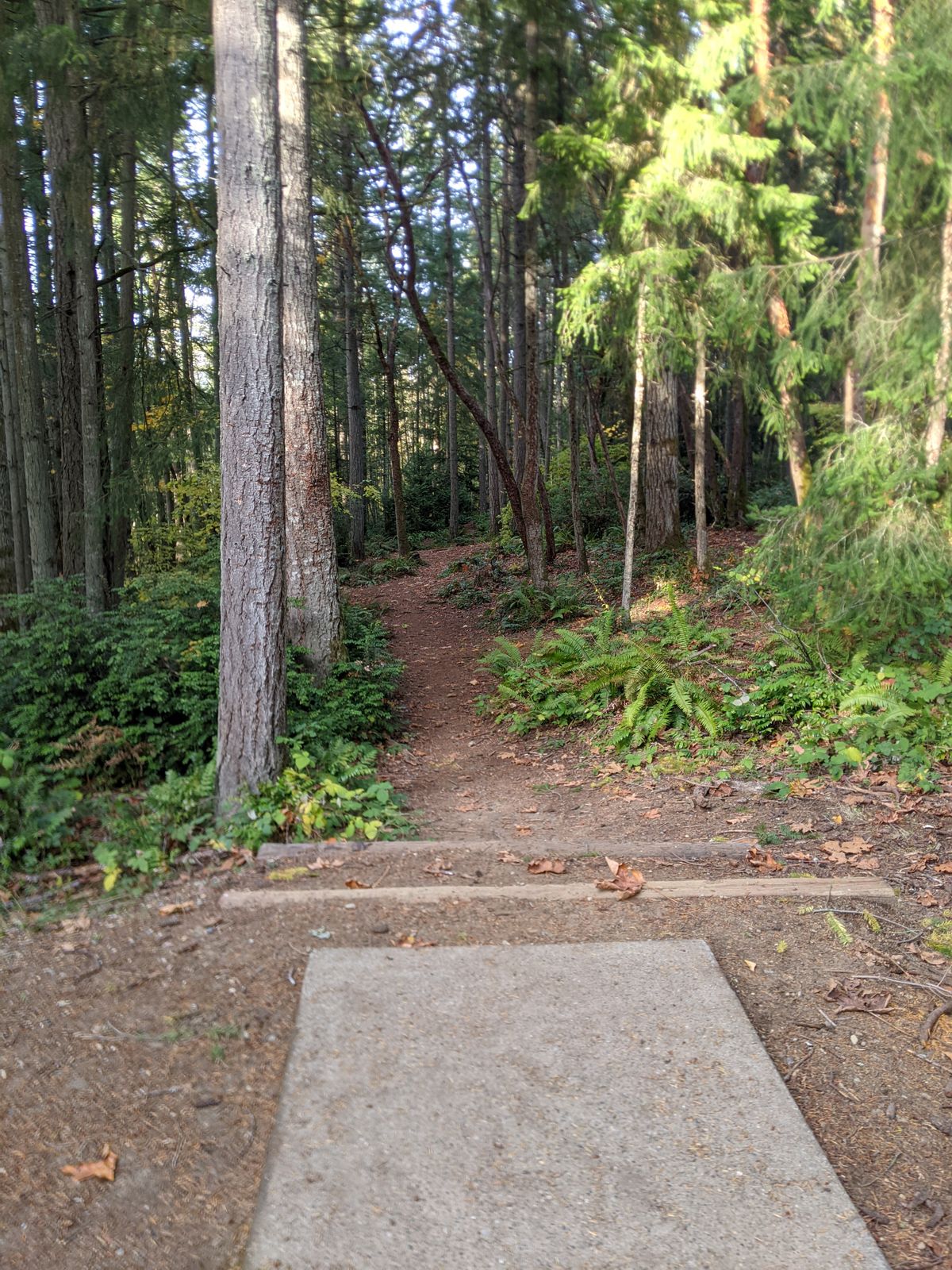 Hole 3 - Blue Tee