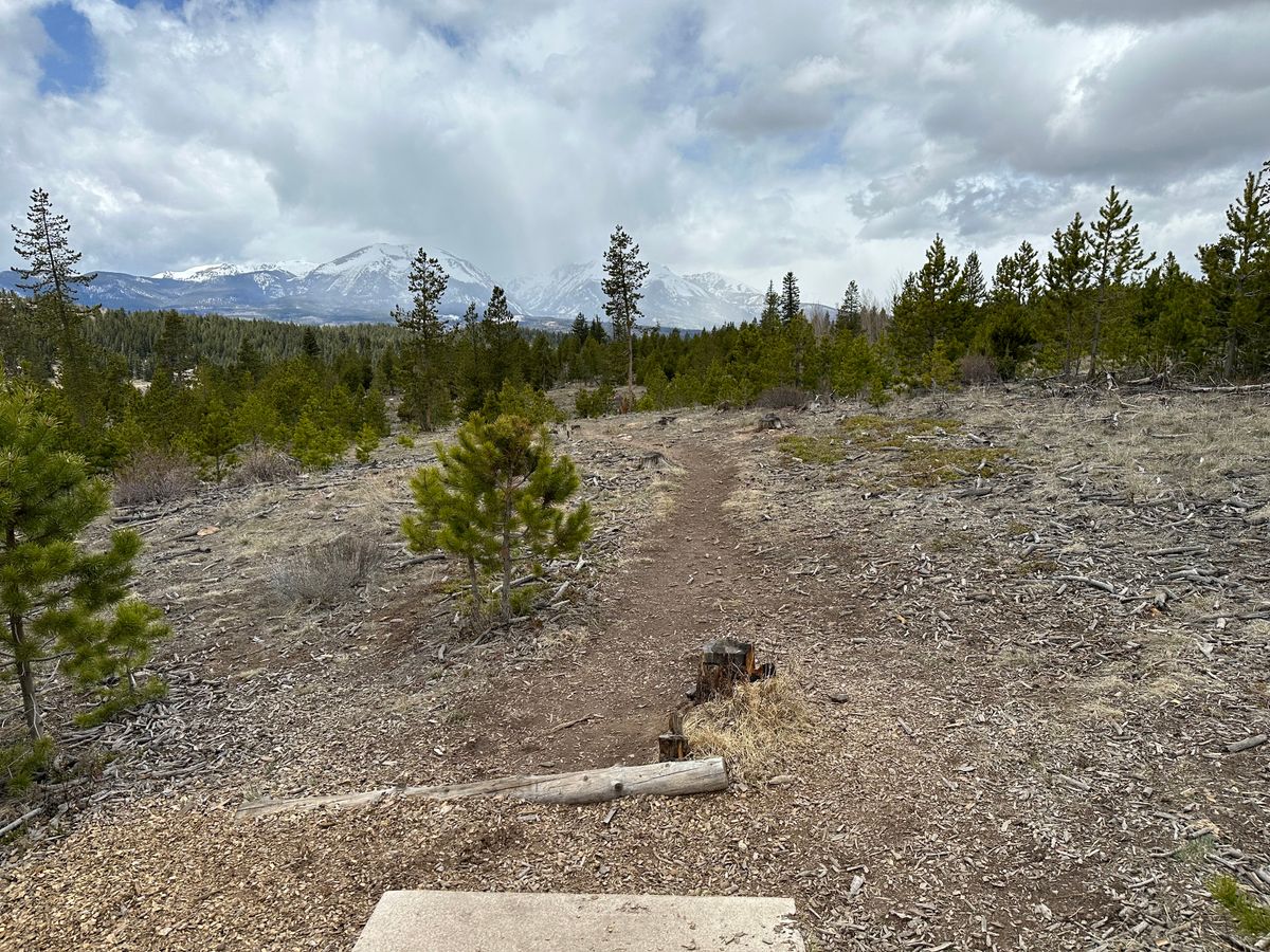 Hole 12 Tee