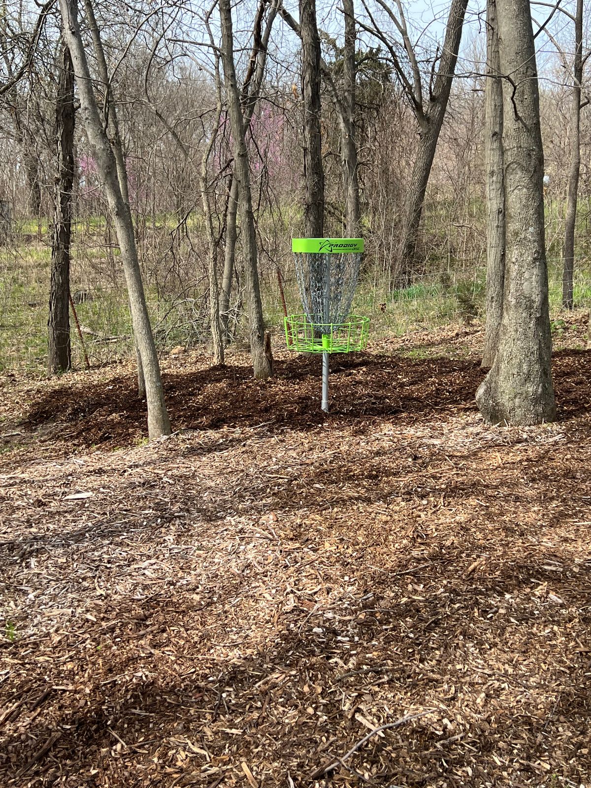 Hole 5 basket