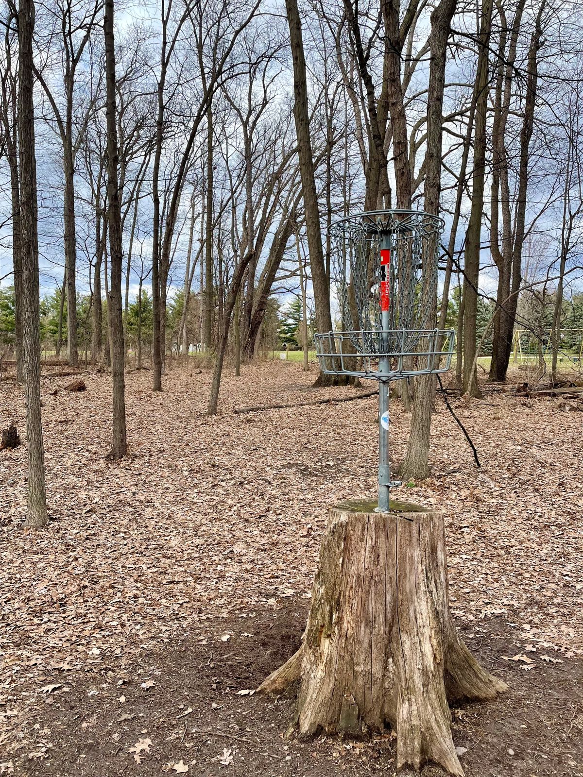 Hole 5 basket. Looking backwards.