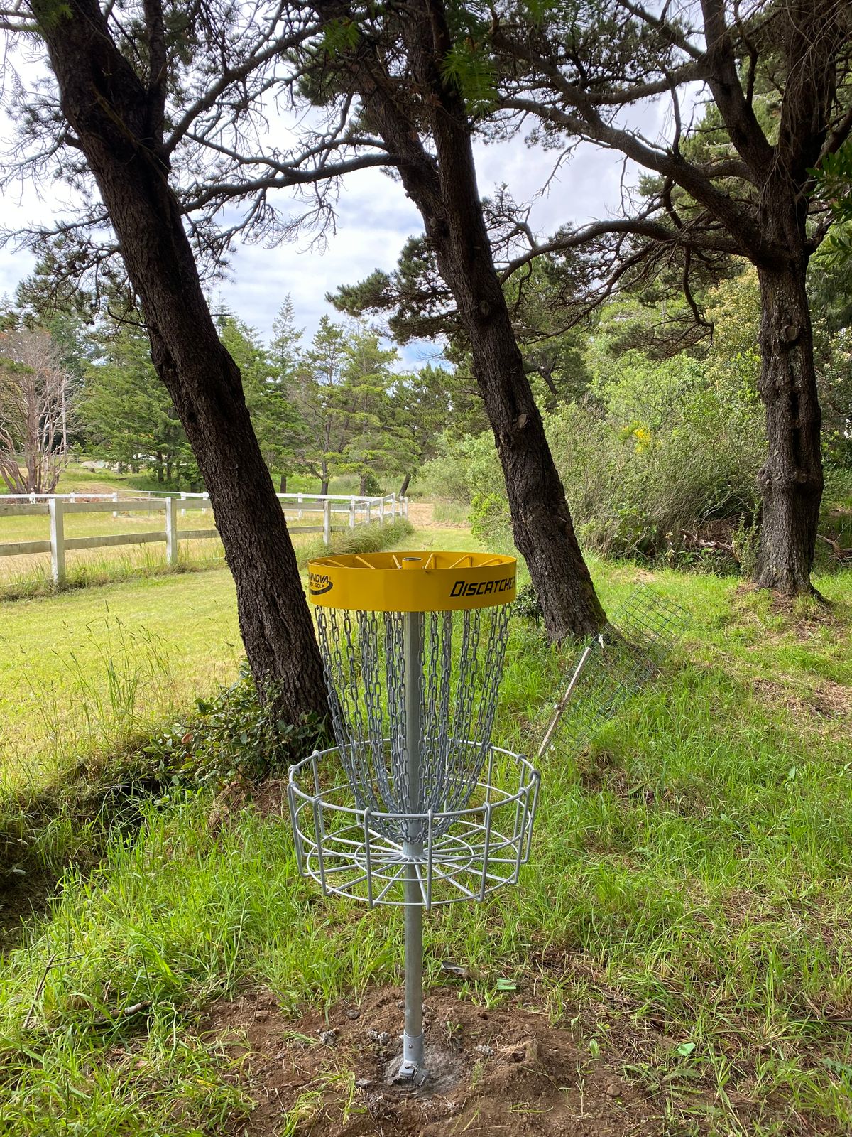 Hole 8 Basket
