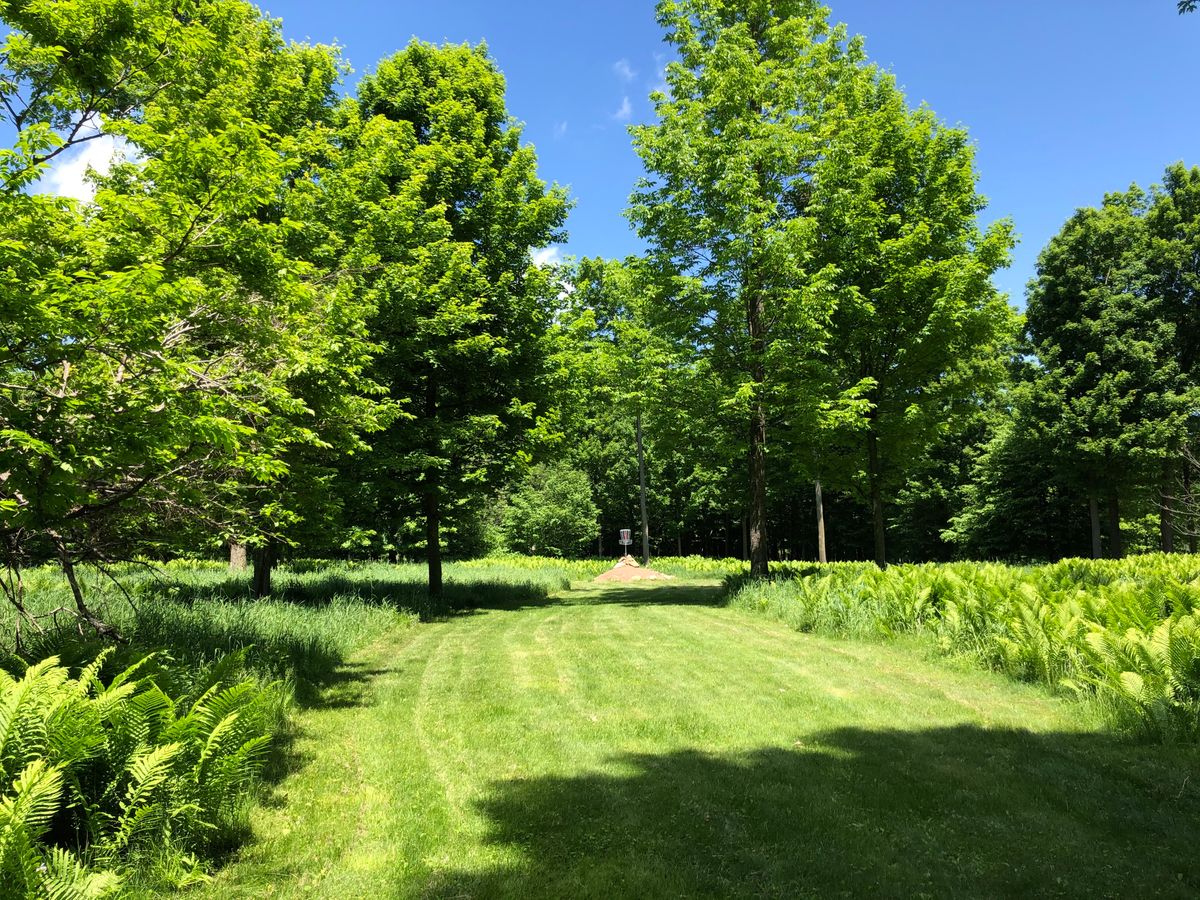 Hole 13, raised / mound basket