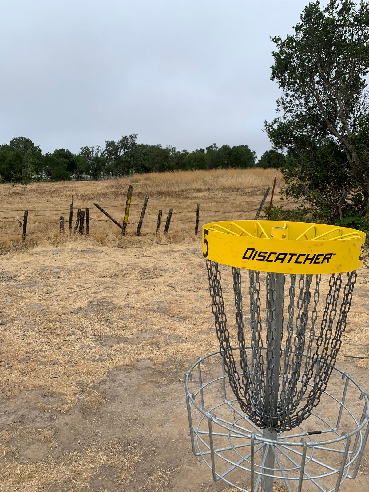 Hole 5