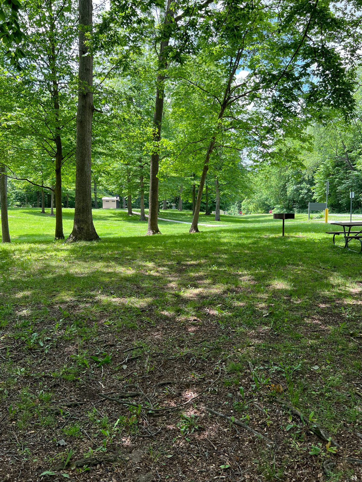 Hole 1 Yellow Tee