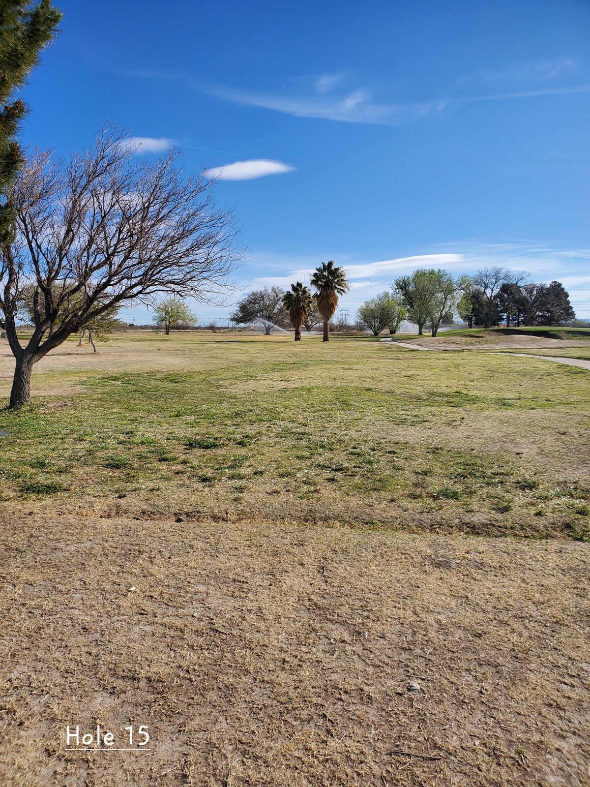 Hole 15