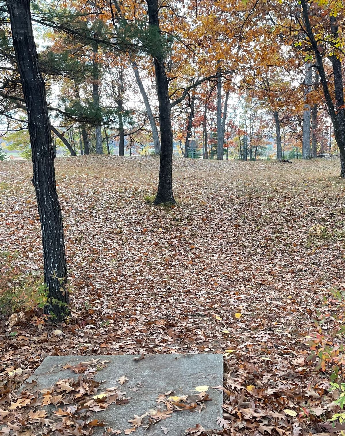 Tee pad six