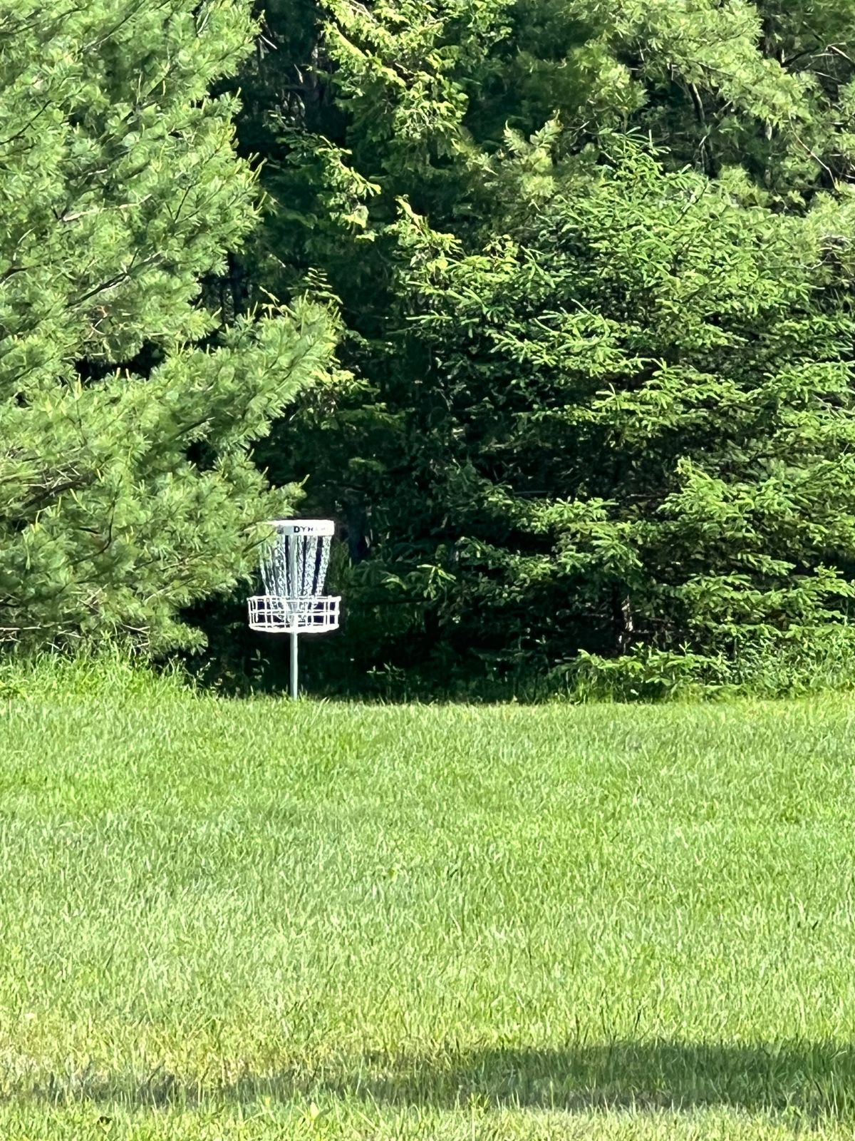 Basket 4 (13) 
#4 - Through the open area and slightly tucked in to the left.
#13 - Off the corner of the parking lot. 