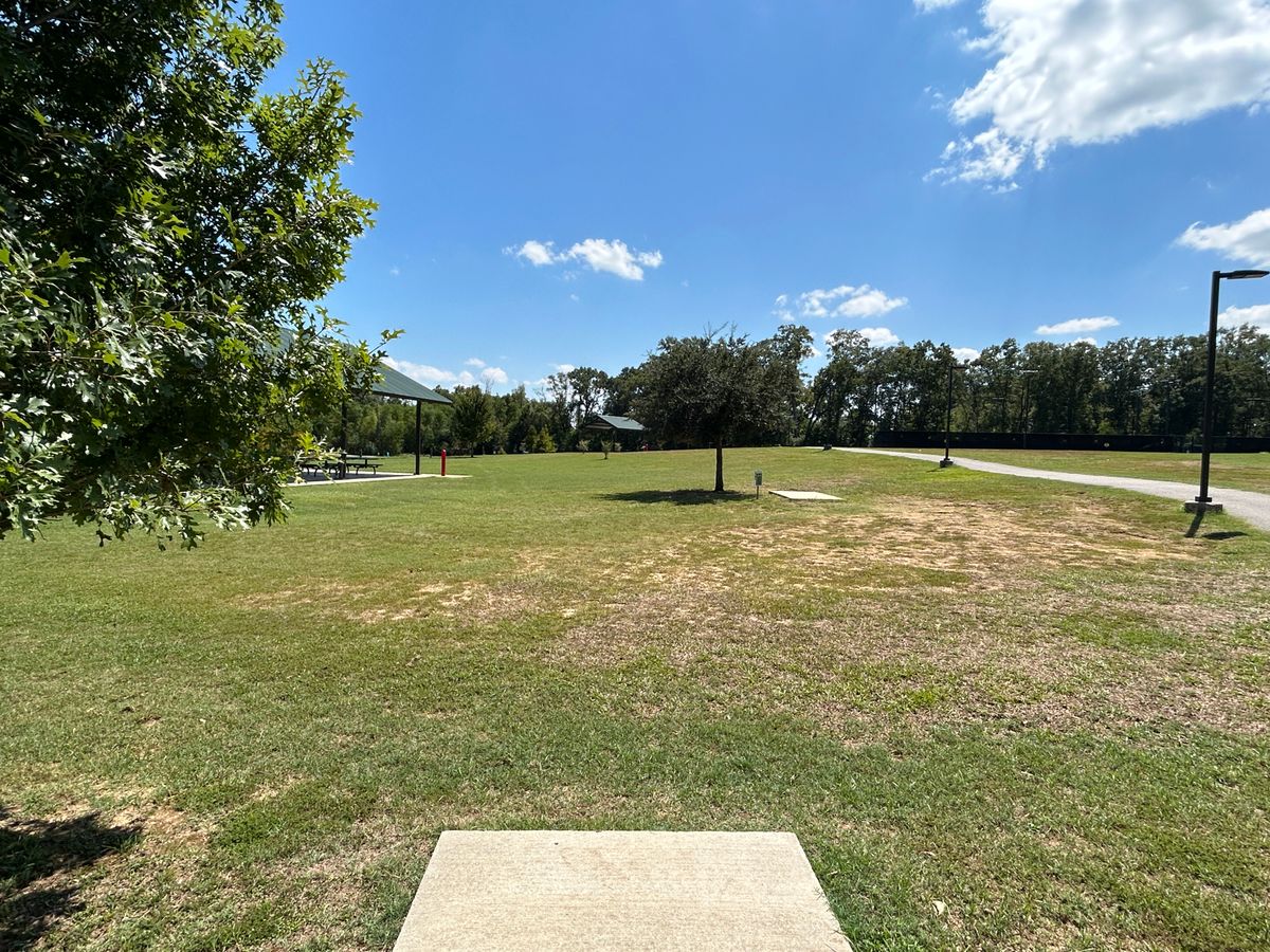 Hole 15 Fairway (White)