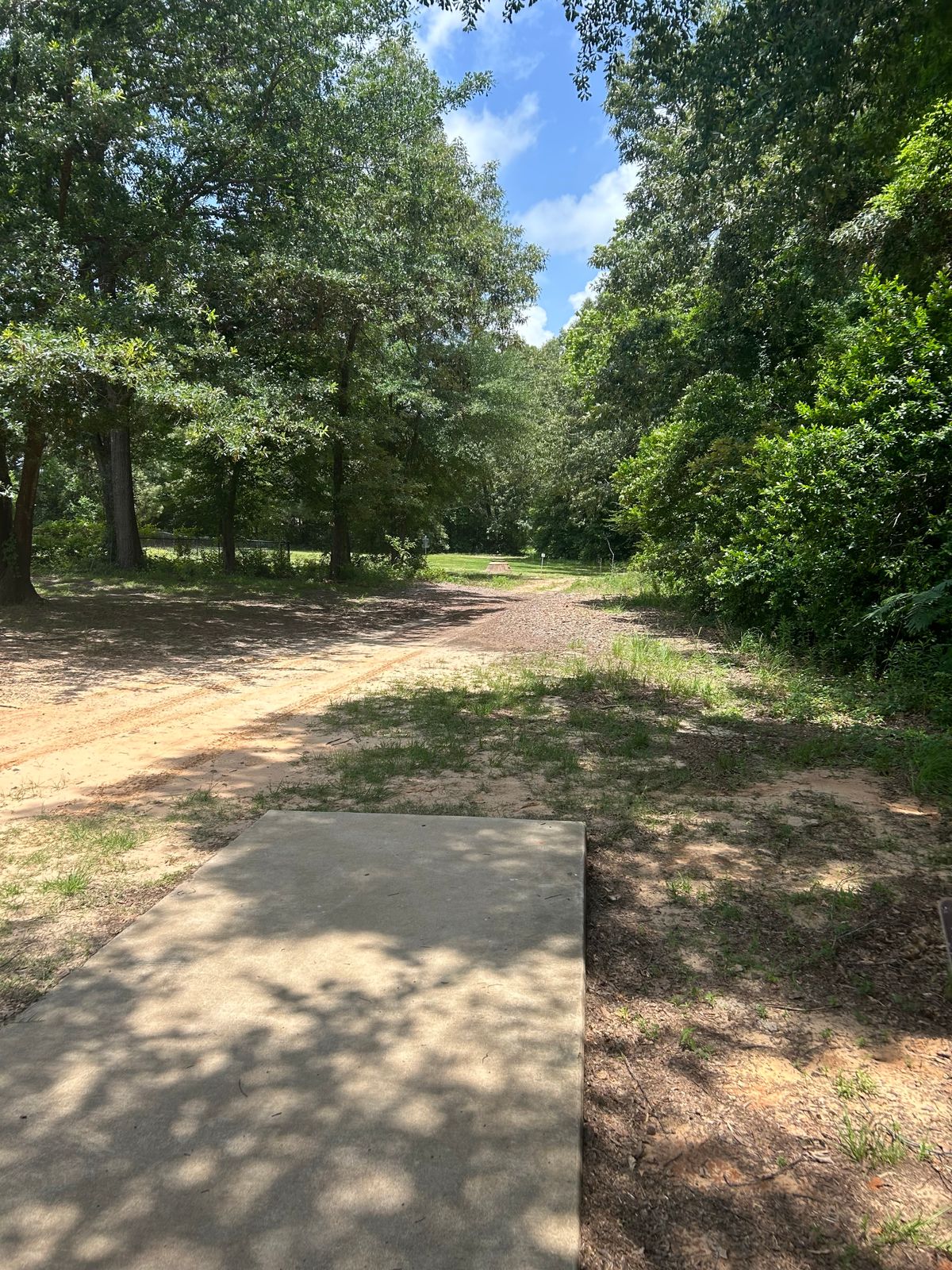 Hole 6