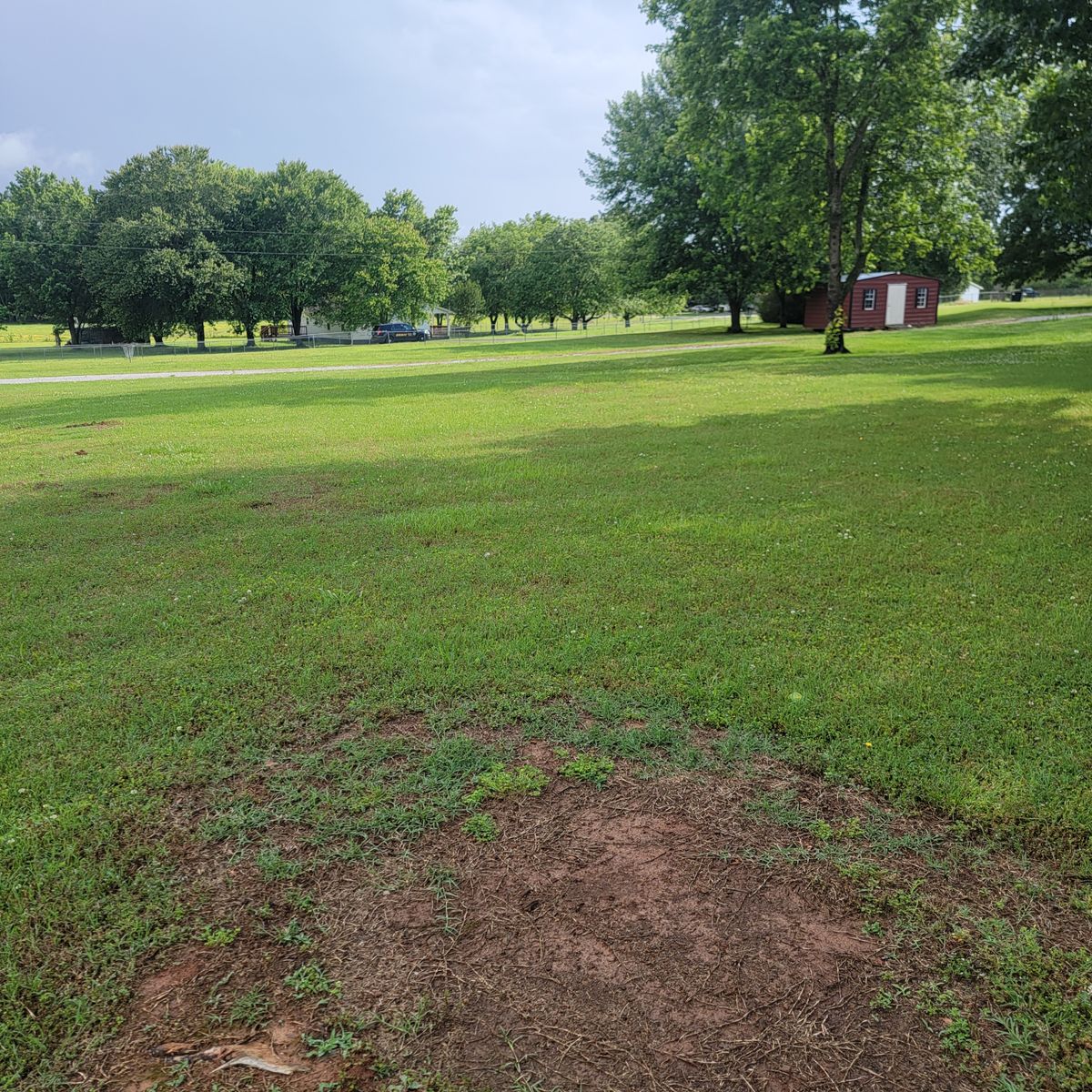 Hole 6 tee pad reuses hole 3 basket under the 3 trees by the little red building.